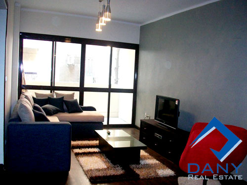 Residential Apartment For Rent Furnished in Maadi Digla Great Cairo Egypt