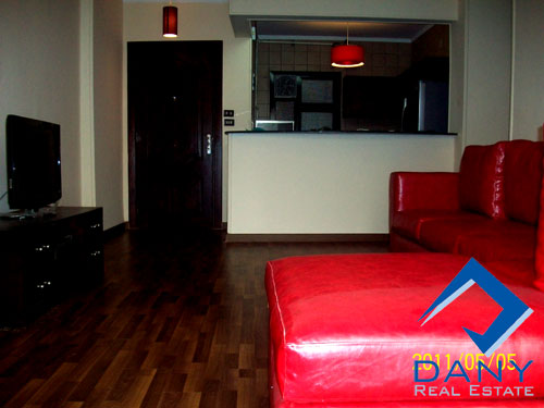 Residential Apartment For Rent Furnished in Maadi Digla Great Cairo Egypt