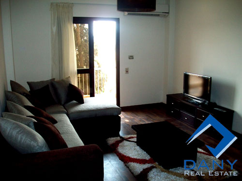 Residential Apartment For Rent Furnished in Maadi Digla Great Cairo Egypt