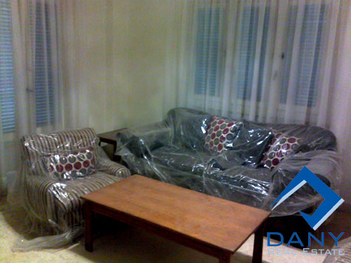 Residential Apartment For Rent Semi Furnished in Maadi Digla Great Cairo Egypt