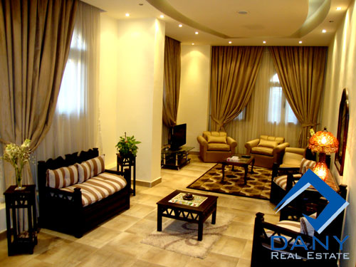 Residential Ground Floor Apartment For Rent Furnished in Maadi Digla Great Cairo Egypt