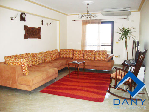 Residential Apartment For Rent Furnished in Maadi Digla Great Cairo Egypt