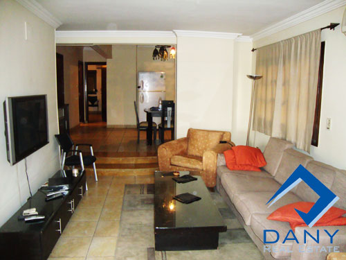 Residential Apartment For Rent Furnished in Maadi Digla Great Cairo Egypt