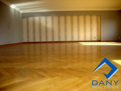 Residential Apartment For Rent Semi Furnished in Maadi Digla Great Cairo Egypt