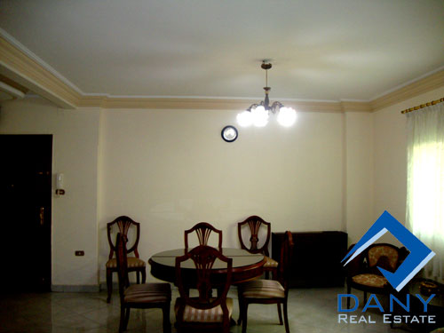 Residential Apartment For Rent Furnished in Maadi Digla Cairo Egypt