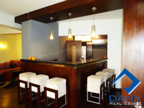 Residential Apartment For Rent Semi Furnished in Maadi Digla Great Cairo Egypt