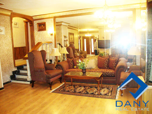 Residential Ground Floor Apartment For Rent Furnished in Maadi Digla Great Cairo Egypt