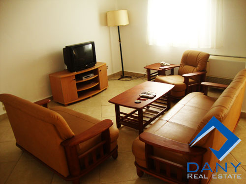 Residential Apartment For Rent Semi Furnished in Maadi Digla Great Cairo Egypt