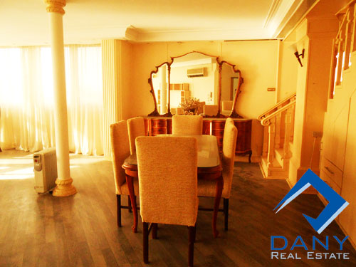 Residential Apartment For Rent Furnished in Maadi Digla Great Cairo Egypt