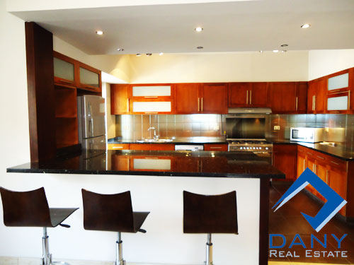 Residential Apartment For Rent Furnished in Maadi Digla Great Cairo Egypt