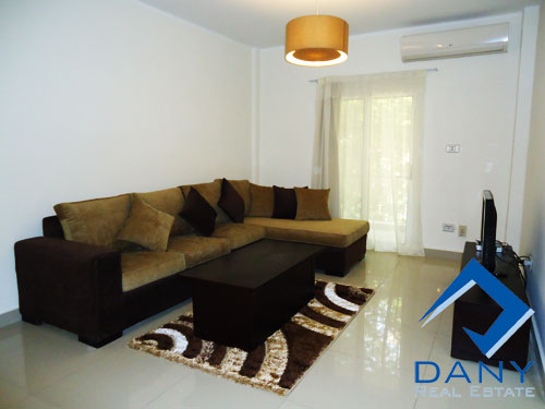 Residential Apartment For Rent Furnished in Maadi Digla Great Cairo Egypt