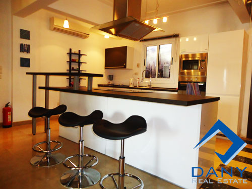 Residential Apartment For Rent Furnished in Maadi Digla Great Cairo Egypt