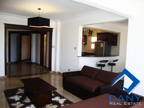 Residential Apartment For Rent Furnished in Maadi Digla Great Cairo Egypt