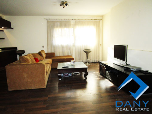 Residential Apartment For Rent Furnished in Maadi Digla Great Cairo Egypt