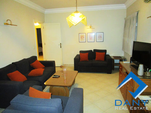 Residential Apartment For Rent Furnished in Maadi Digla Great Cairo Egypt