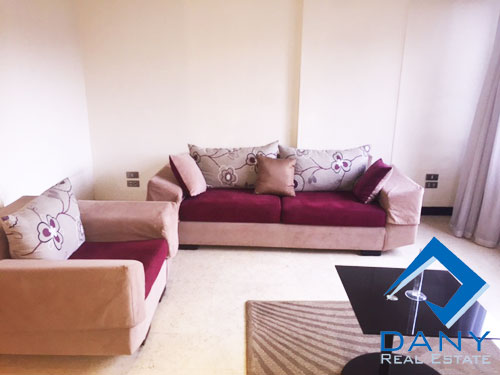 Residential Apartment For Rent Furnished in Maadi Digla Great Cairo Egypt