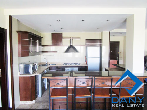 Residential Apartment For Rent Furnished in Maadi Digla Great Cairo Egypt