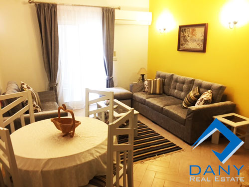 Residential Apartment For Rent Furnished in Maadi Digla Great Cairo Egypt