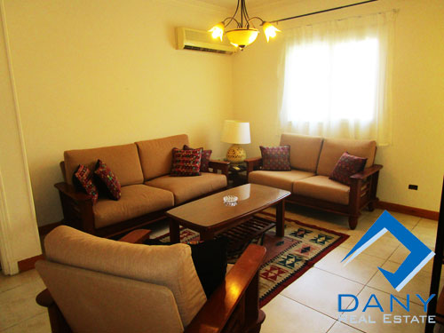 Residential Apartment For Rent Furnished in Maadi Digla Great Cairo Egypt
