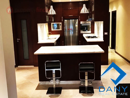Residential Apartment For Rent Furnished in Maadi Digla Great Cairo Egypt