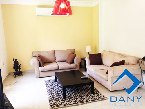 Residential Apartment For Rent Furnished in Maadi Digla Great Cairo Egypt
