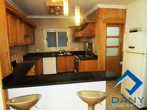 Residential Apartment For Rent Furnished in Maadi Digla Great Cairo Egypt