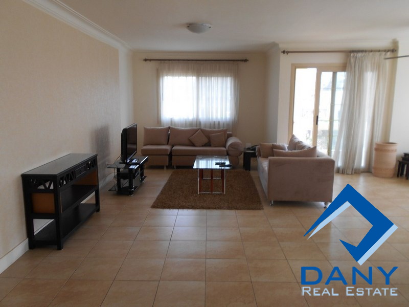 Residential Apartment For Rent Furnished in Maadi Digla Great Cairo Egypt