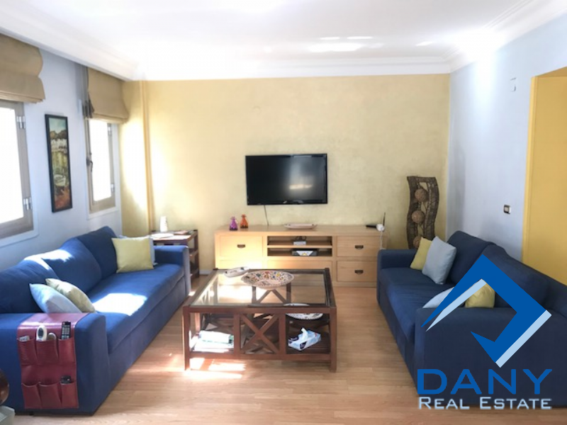Residential Apartment For Rent Furnished in Maadi Digla Great Cairo Egypt