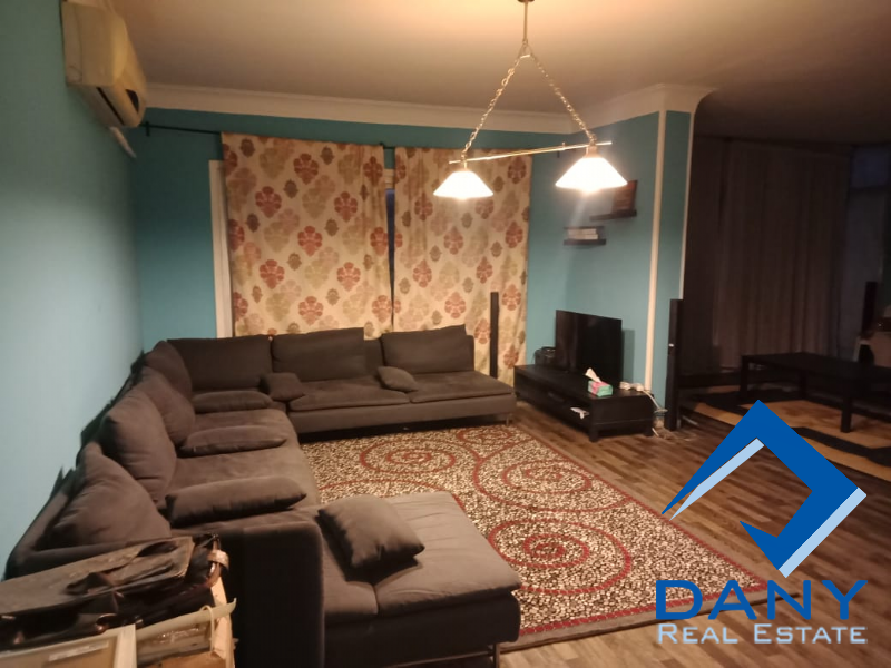 Residential Apartment For Rent Furnished in Maadi Digla Great Cairo Egypt