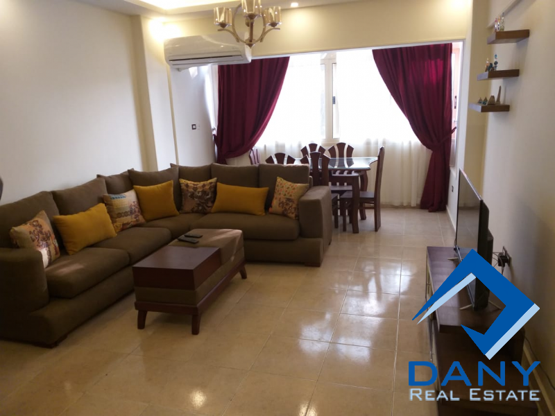 Residential Apartment For Rent Furnished in Maadi Digla Great Cairo Egypt