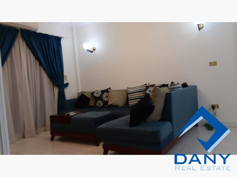 Residential Apartment For Rent Furnished in Maadi Digla Great Cairo Egypt