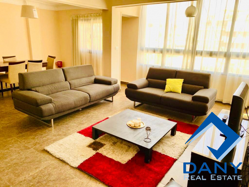 Residential Apartment For Rent Furnished in Maadi Digla Great Cairo Egypt