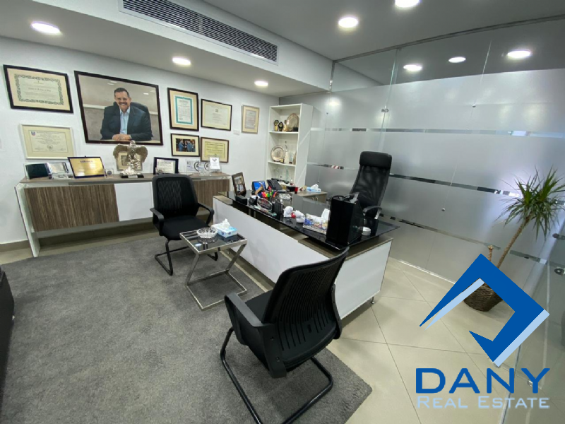 Residential Apartment For Rent Furnished in Maadi Digla Great Cairo Egypt