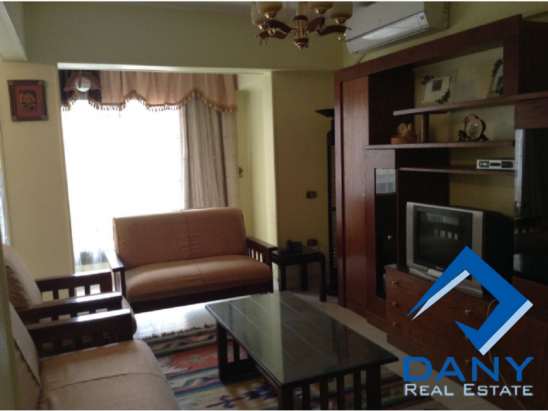 Residential Apartment For Rent Furnished in Maadi Digla Great Cairo Egypt