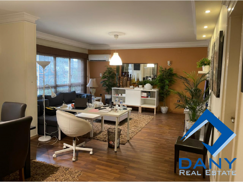 Residential Apartment For Rent Furnished in Maadi Digla Great Cairo Egypt