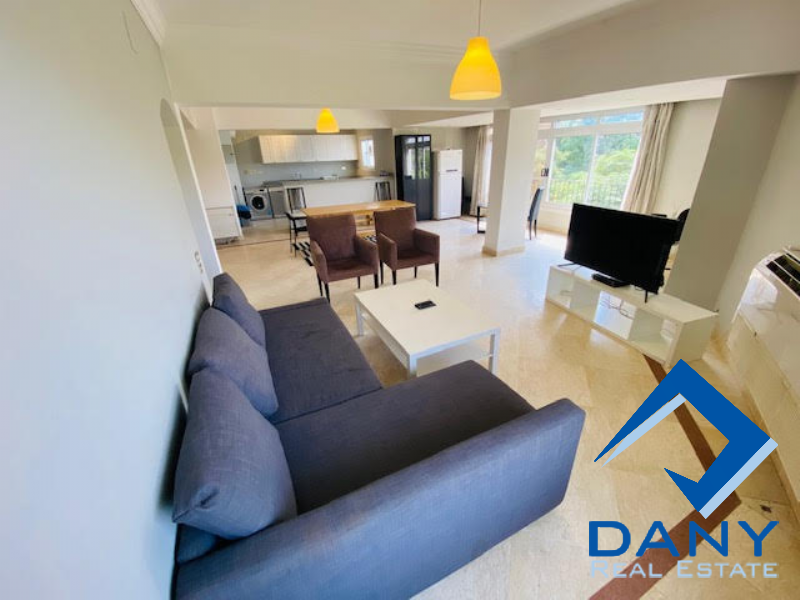 Residential Apartment For Rent Furnished in Maadi Digla Great Cairo Egypt