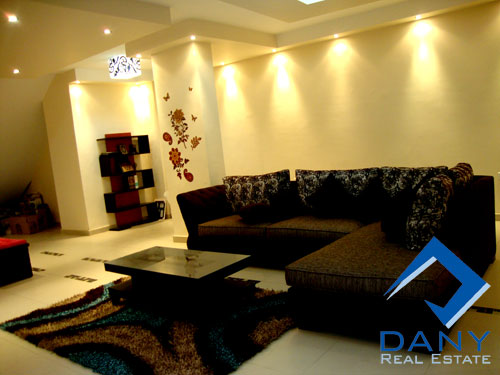 Residential Duplex For Rent Furnished in Maadi Digla Great Cairo Egypt