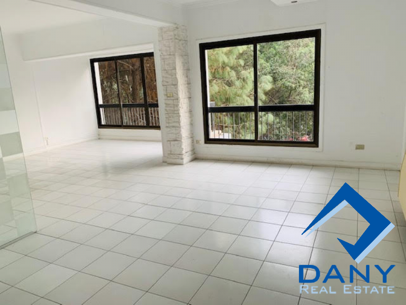 Commercial Offices For Rent Semi Furnished in Maadi Digla Great Cairo Egypt