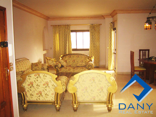 Residential Apartment For Rent Furnished in Maadi Digla Great Cairo Egypt
