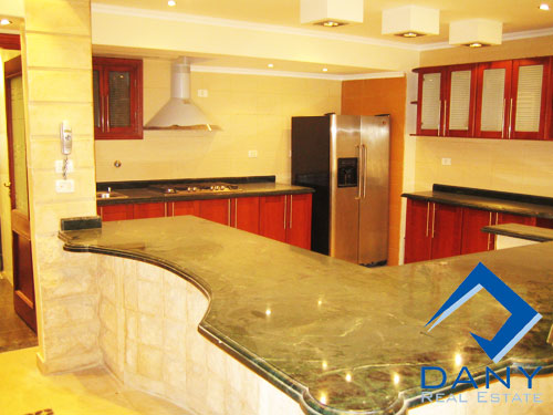 Residential Apartment For Rent Furnished in Maadi Digla Great Cairo Egypt