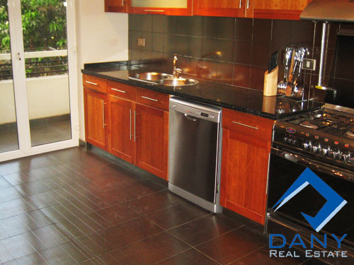 Residential Apartment For Rent Furnished in Maadi Digla Great Cairo Egypt