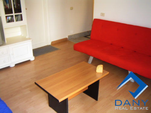 Residential Apartment For Rent Furnished in Maadi Digla Great Cairo Egypt