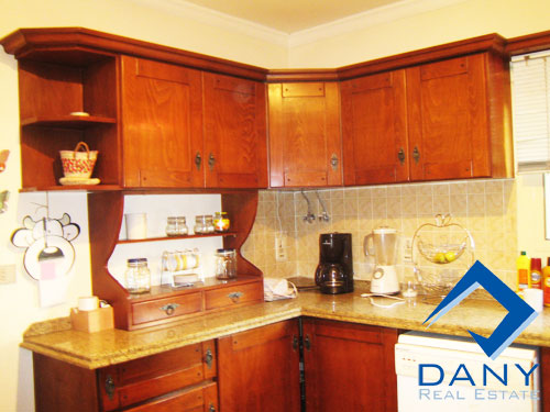 Residential Apartment For Rent Furnished in Maadi Digla Great Cairo Egypt