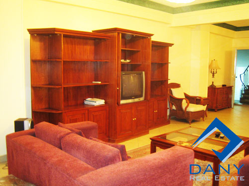 Residential Apartment For Rent Furnished in Maadi Digla Great Cairo Egypt
