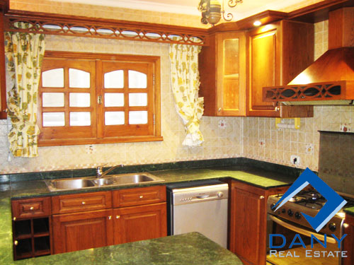 Residential Apartment For Rent Furnished in Maadi Digla Great Cairo Egypt