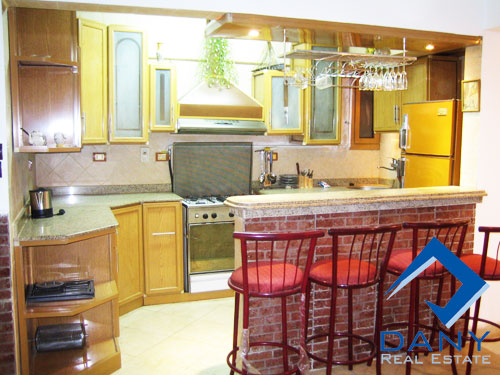 Residential Apartment For Rent Furnished in Maadi Digla Great Cairo Egypt