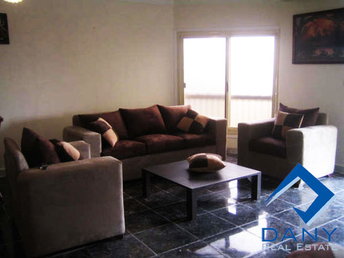 Residential Apartment For Rent Furnished in Maadi Digla Great Cairo Egypt