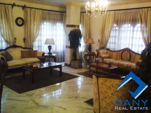 Residential Apartment For Rent Furnished in Maadi Digla Great Cairo Egypt