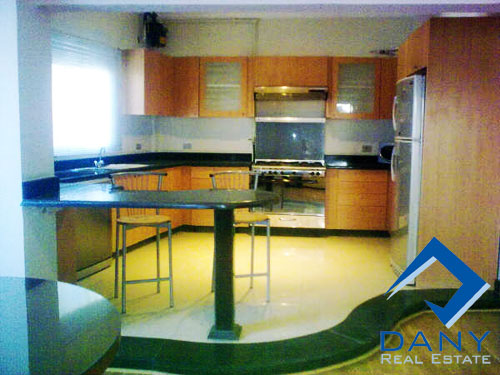 Residential Apartment For Rent Furnished in Maadi Digla Great Cairo Egypt