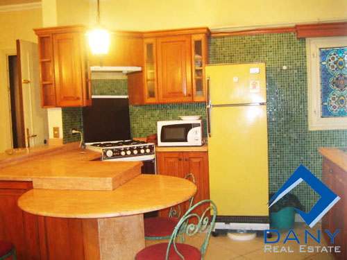 Residential Apartment For Rent Furnished in Maadi Digla Great Cairo Egypt
